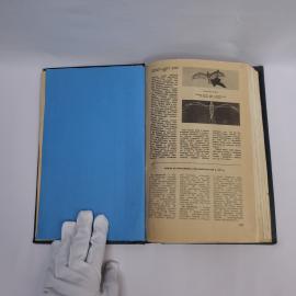 Картинка 6