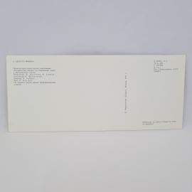 Картинка 2
