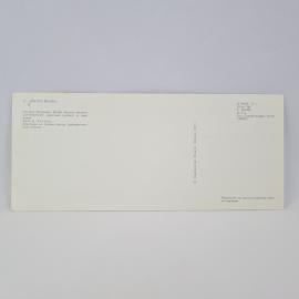 Картинка 2