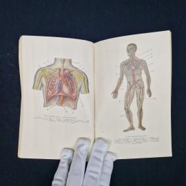Картинка 4