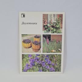 Картинка 1