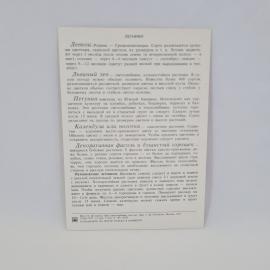 Картинка 2