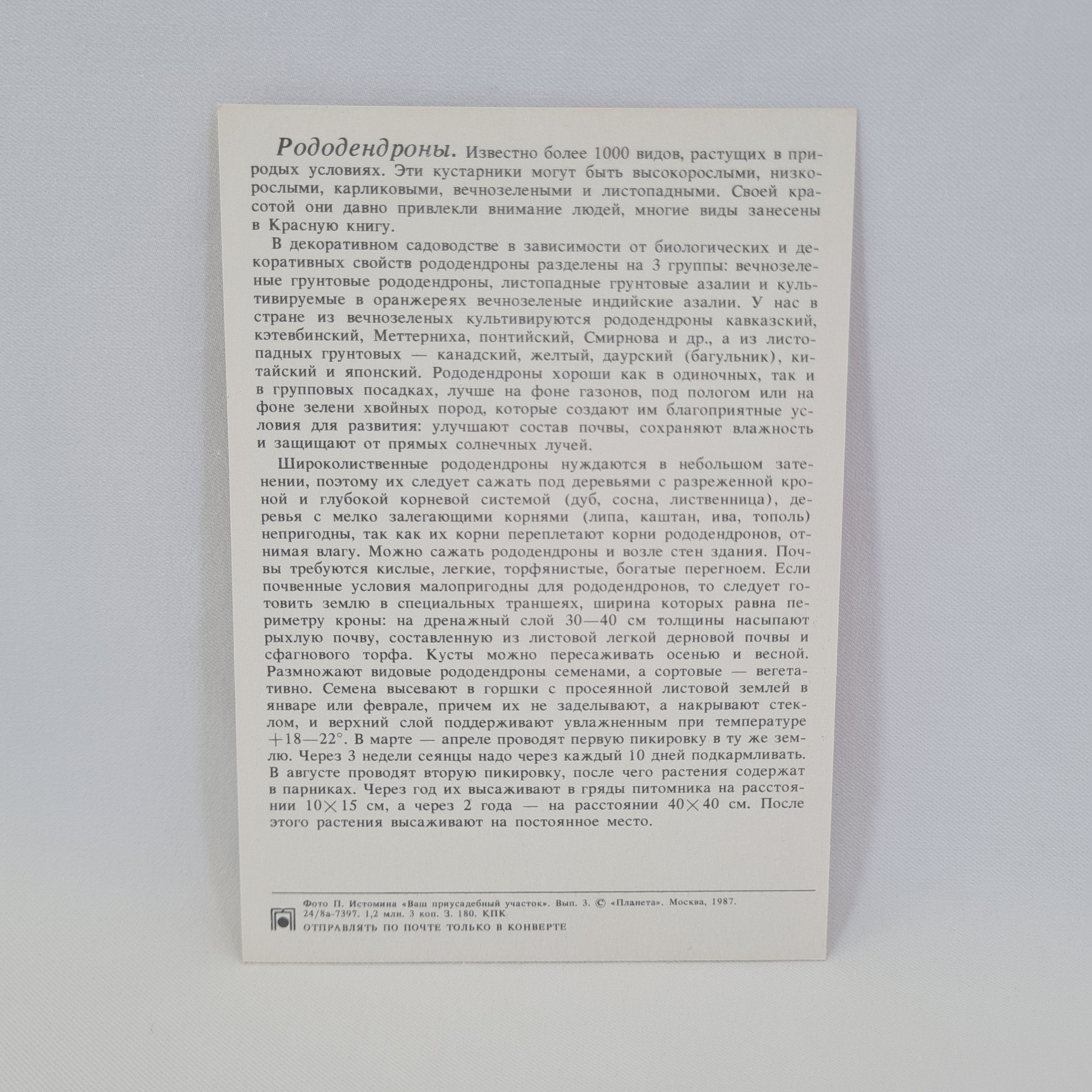 Картинка 2