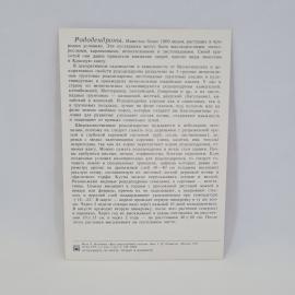 Картинка 2