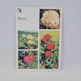 Картинка 1