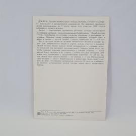 Картинка 2