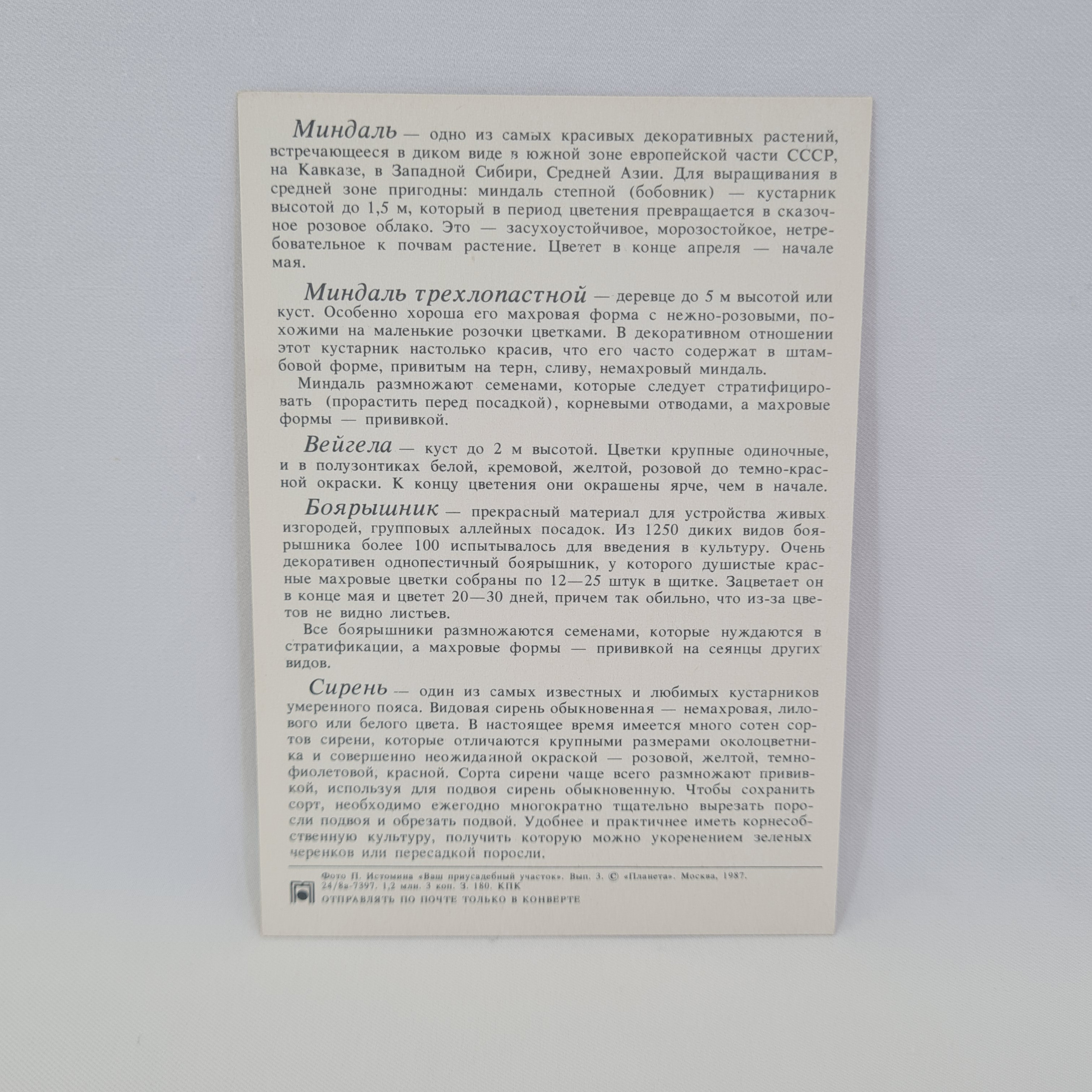 Картинка 2