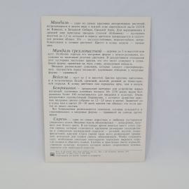 Картинка 2