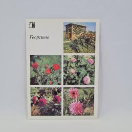 Картинка 1
