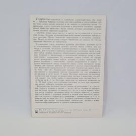 Картинка 2