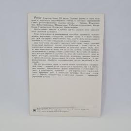 Картинка 2