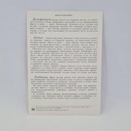 Картинка 2