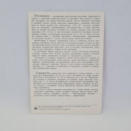 Картинка 2