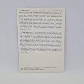Картинка 2