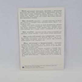 Картинка 2