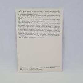 Картинка 2