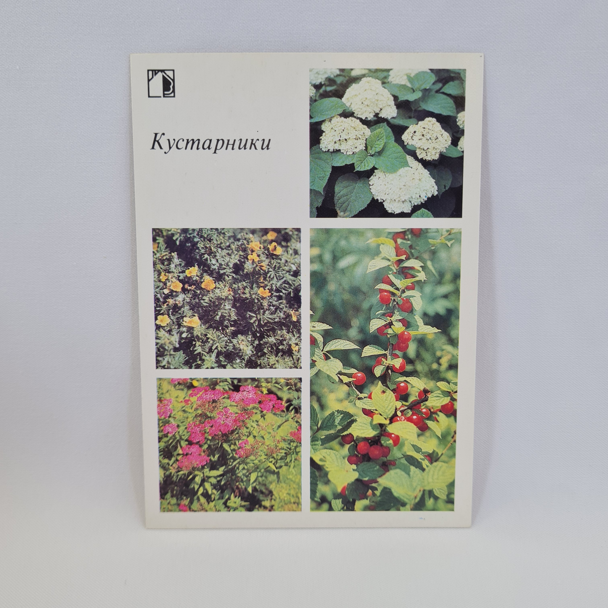 Картинка 1