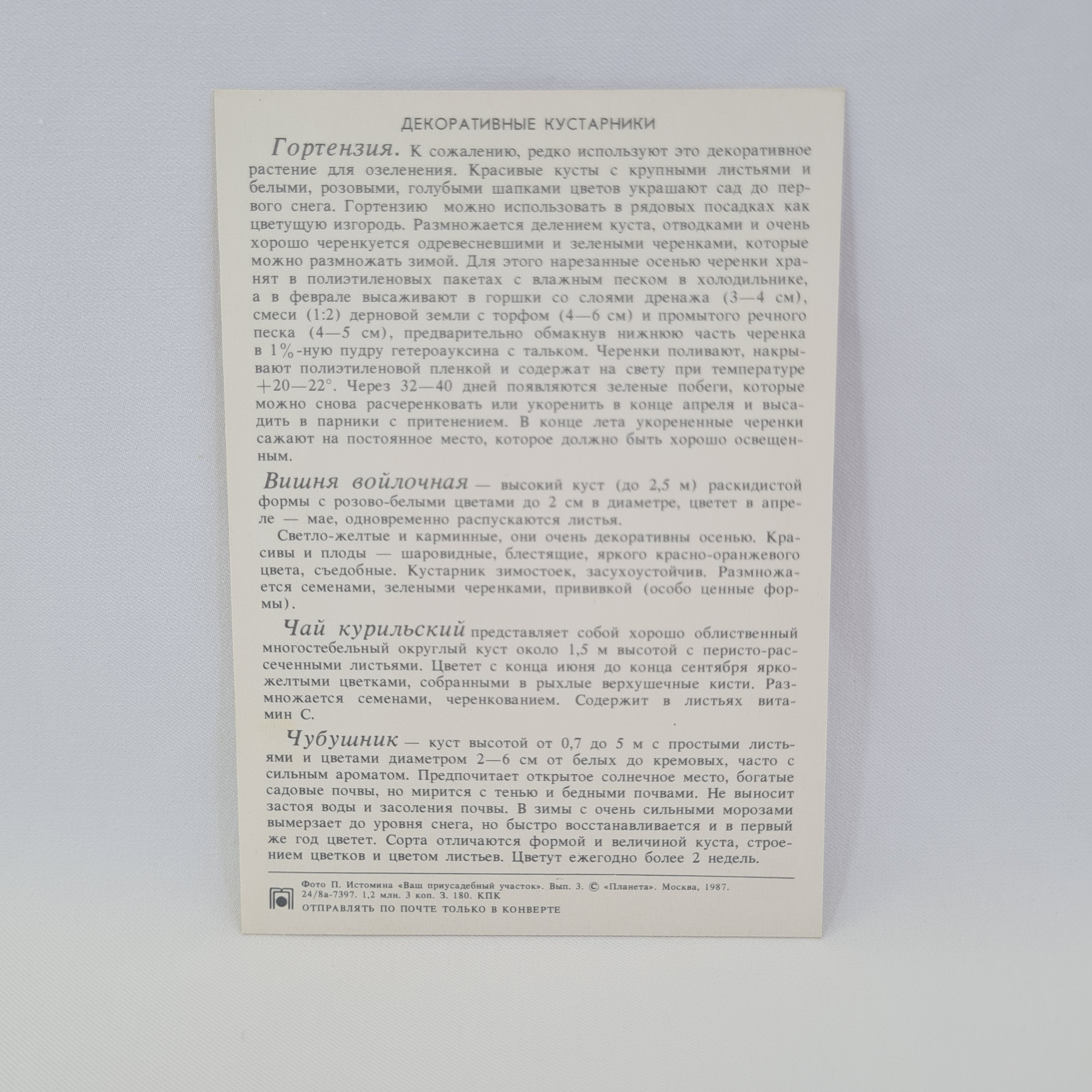 Картинка 2