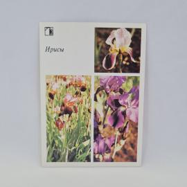 Открытка советская СССР. Цветущие гибридные ирисы разных оттенков на садовом участке. Винтаж