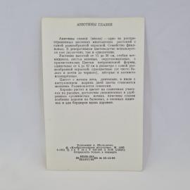 Картинка 2
