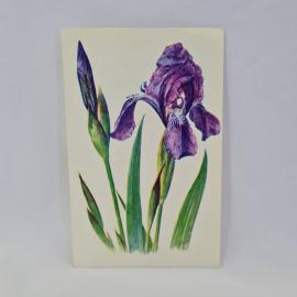 Картинка 1