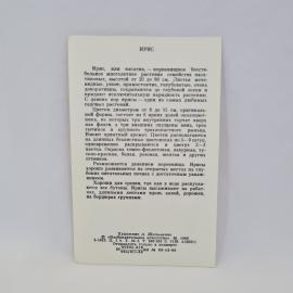 Картинка 2