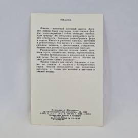 Картинка 2