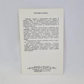 Картинка 2