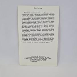 Картинка 2