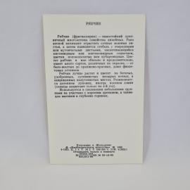 Картинка 2