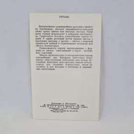 Картинка 2