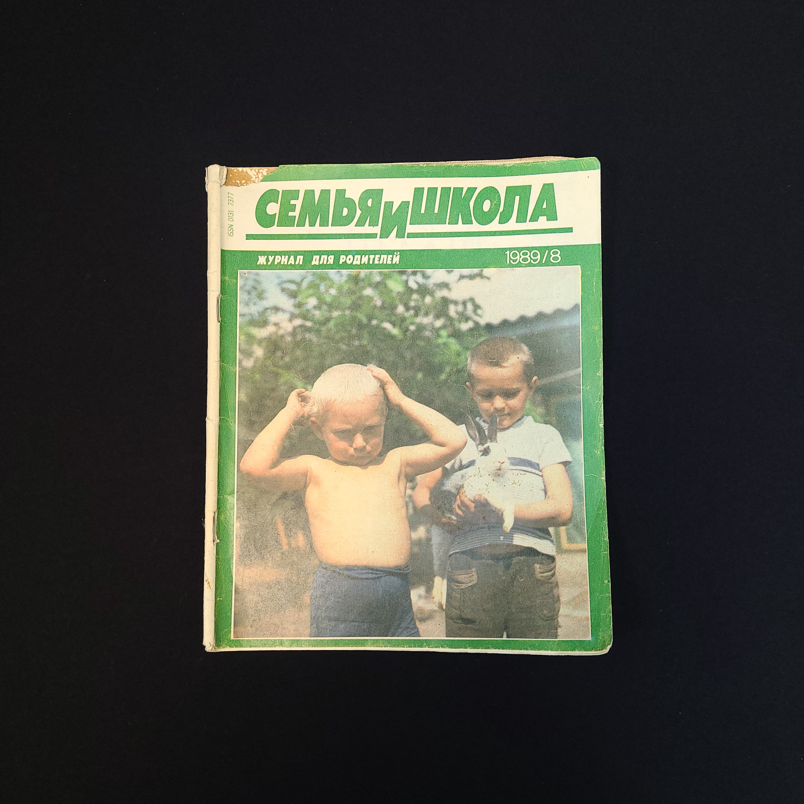Картинка 1