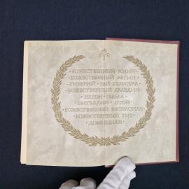 Картинка 7