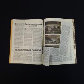 Картинка 4