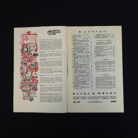 Картинка 4