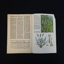 Картинка 6
