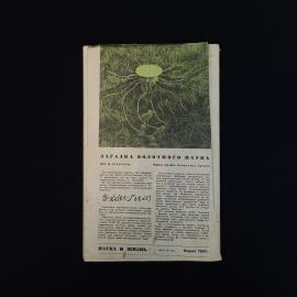 Картинка 2