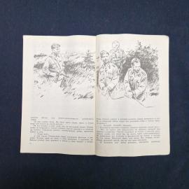 Картинка 5