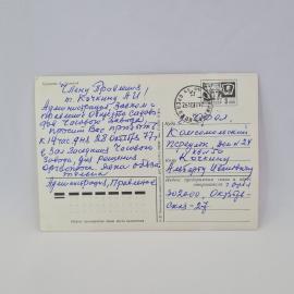 Картинка 2