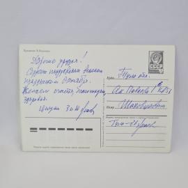 Картинка 2