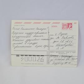 Картинка 2