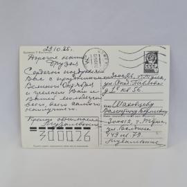 Картинка 2