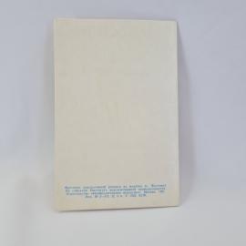 Картинка 3