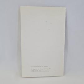 Картинка 3