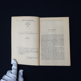 Картинка 4