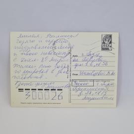 Картинка 2