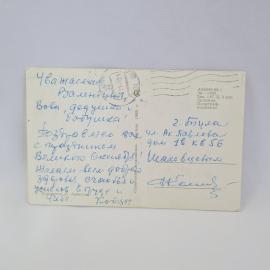 Картинка 2