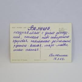 Картинка 2
