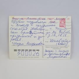 Картинка 2