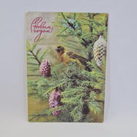 Картинка 1